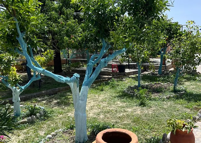 شقة Village
